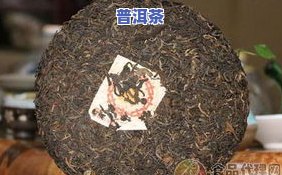 丁家寨普洱茶：包装种类、价格及特点介绍，古树茶多少钱一斤？