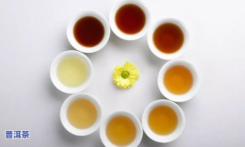 草稿普洱茶现价多少？熟悉普洱草图片、价格与特性