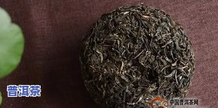 草稿普洱茶-草稿普洱茶现价多少钱