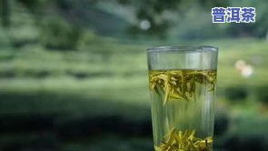 东方茶树多少钱一瓶？熟悉东方茶树、茶叶及东方茶业的价格！