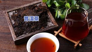 有奶香的普洱茶排行榜前十名：口感醇厚，香气四溢，让你体验不一样的普洱风情！