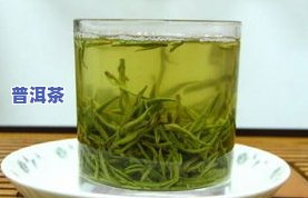 味之源茶叶是名茶吗？价格、质量全揭秘！