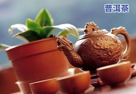 味之源茶叶是名茶吗？价格、质量全揭秘！