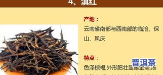 味之源茶叶价格查询：了解名茶与官网信息