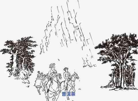 普洱茶手绘：简单又好看的手绘图片大全与绘画教程