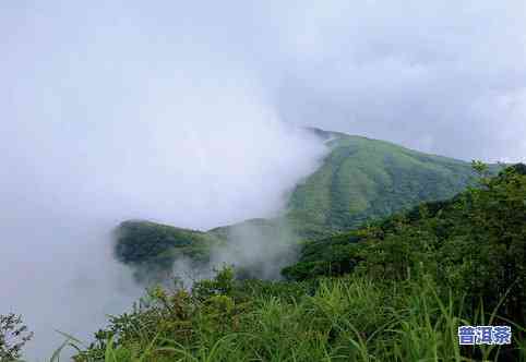 云南著名山峰排行榜：揭秘云南最著名的山