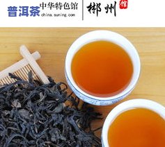 普洱茶的十大品种：全面解析与排名