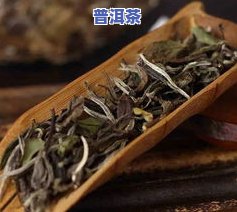 普洱茶品名大全-普洱茶的品名