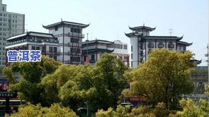 中山有哪些茶叶市场-中山有哪些茶叶市场地址