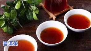 杨聘号普洱茶价格1912：生茶、熟茶最新价格表查询