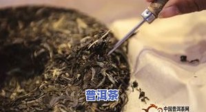 喝普洱茶生茶和熟茶的区别及其对人体的好处