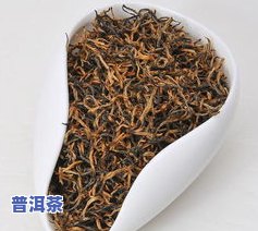 古树金砖：什么茶？类型、种类与礼盒装价格全解析