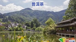 湄潭县茶叶场-湄潭县茶叶场电话