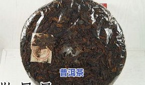 探秘普洱茶6大古茶山：历史、文化与味道