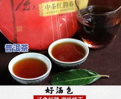 易武普洱茶有哪些品种，探秘易武普洱茶：熟悉其丰富多样的品种