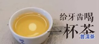 普洱茶危害健康：真相与误解