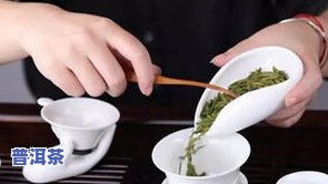 芙蓉茶图片大全：熟悉功效与分类