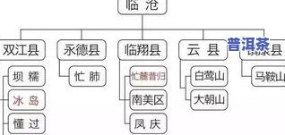 全面解析：冰岛普洱茶的冲泡方法、时间和比例