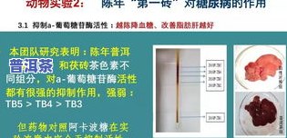 干燥剂会吸走茶叶的香：作用与机制解析