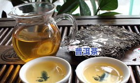 喝普洱茶用多大的壶泡茶-喝普洱茶用多大的壶泡茶好