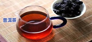 普洱茶入门：初级知识、经验分享与茶道步骤视频教程全解析