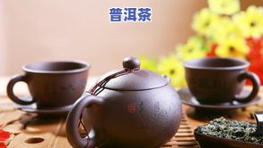 普洱茶入门：初级知识、经验分享与茶道步骤视频教程全解析