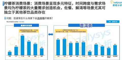 懂过普洱茶价格：全面解析2022年市场趋势及口感特点