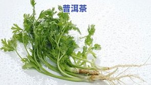 香菜根和茶叶一起泡水吗？如何泡制及功效探究