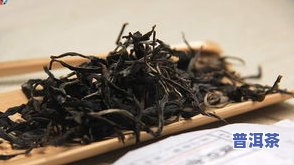 龙眉普洱茶：熟茶还是生茶？特性、价格及品种全解析