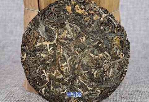 龙眉普洱茶：熟茶还是生茶？特性、价格及品种全解析