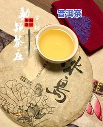 云南勐傣茶厂冰岛古树普洱茶价格介绍与品鉴