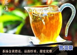 云南勐傣茶厂冰岛古树普洱茶价格介绍与品鉴