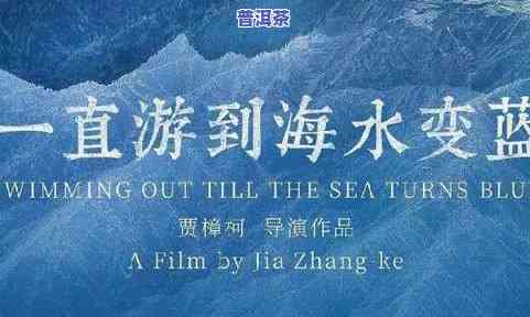 揭示真相：龙梅和玉荣故事的2021年最新发展与现状