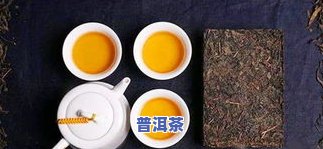 普洱茶中茶黄素的测定方法及含量探究