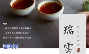 高傲普洱茶-高敖普洱茶