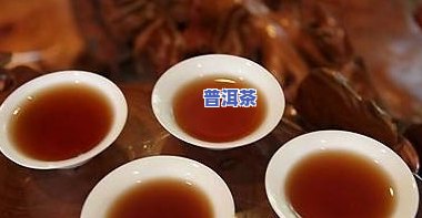 云南东创普洱茶：了解最新价格与公司信息