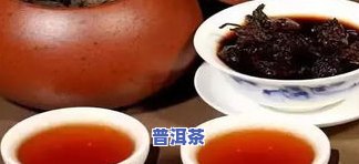 罗汉果配普洱熟茶：功效、作用及饮用建议