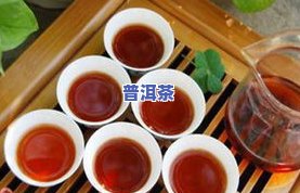 青普洱茶的功效、泡法及与熟普的区别