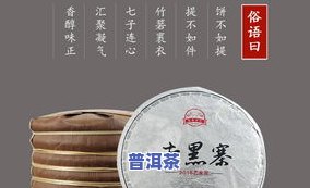 普育普洱茶是一线吗？怎么样？茶叶品质如何？'普育'含义及1616品种表现如何？