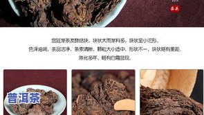 普育普洱茶怎么样-普育普洱茶怎么样啊