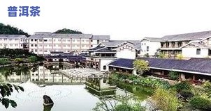 延平区茶叶场电话及地址全览