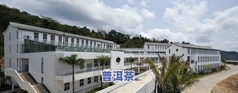 延平区茶叶场-延平区茶叶场在哪里