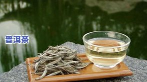 白茶属于什么茶-白茶属于什么茶红茶还是绿茶