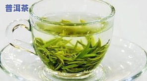 白茶属于什么茶-白茶属于什么茶红茶还是绿茶