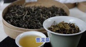 普洱茶批量照片：展示一件、散茶与汤色的美丽相片