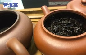 喝普洱茶加枸杞对胃好-喝普洱茶加枸杞对胃好吗