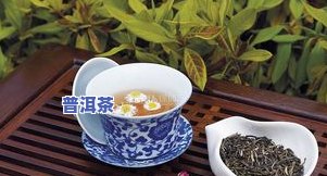 喝普洱茶加枸杞对胃好-喝普洱茶加枸杞对胃好吗