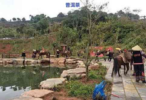 普洱茶马古道公园-普洱茶马古道公园的简介