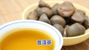 冬瓜普洱茶-冬瓜普洱茶的作法与功效