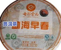 网上普洱茶饼10多元的是什么？值得购买吗？